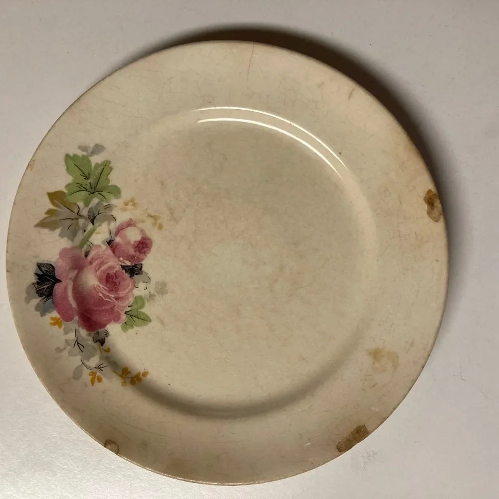 Vintage Salad Plates (2) 6 Inches with Pink & Blue Flowers / Roses